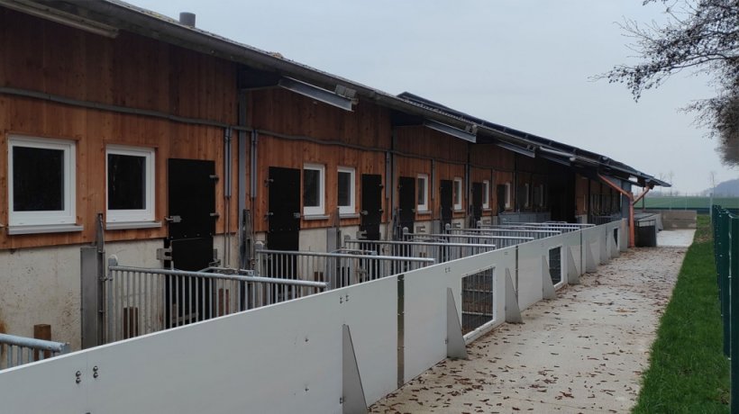 Vista esterna Box parto allevamento biologico