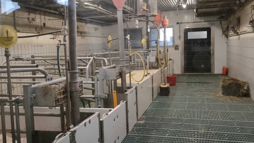 Uno dei modeli box parto libero ristrutturato (1)