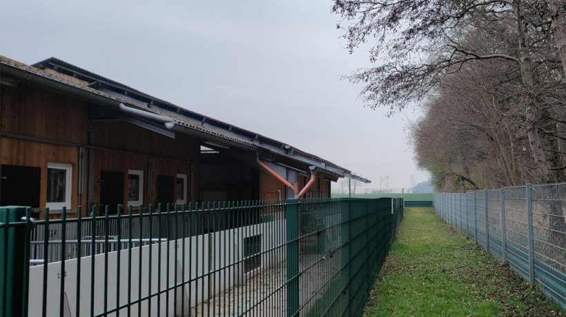 Allevamento biologico: doppia recinzione