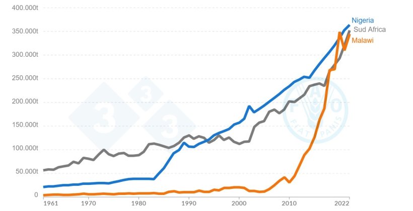 Grafico della produzione di carne suina che mostra l'andamento della crescita in Nigeria, Malawi e Sudafrica dal 1961 al 2022. Fonte: Organizzazione delle Nazioni Unite per l'alimentazione e l'agricoltura (2023).