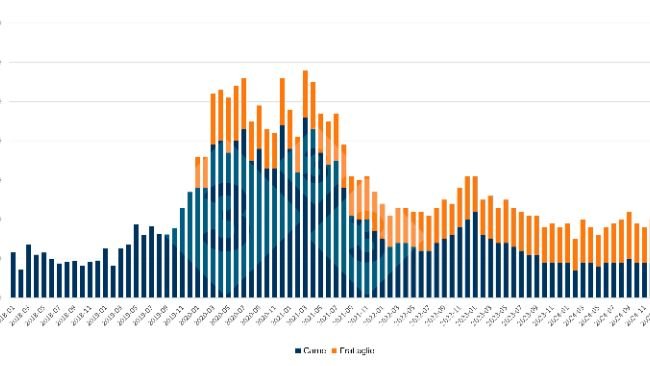 Evoluzione delle importazioni mensili cinesi di carne suina e frattaglie. Fonte: 333 sulla base dei dati dell'Amministrazione Generale delle Dogane della Cina.