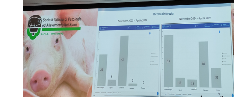 Numero totale di carcasse ritrovate durante ricerca rinforzata nei periodi Nov 2023 - aprile 2024 in confronto con il periodo Nov 2024 - aprile 2025.