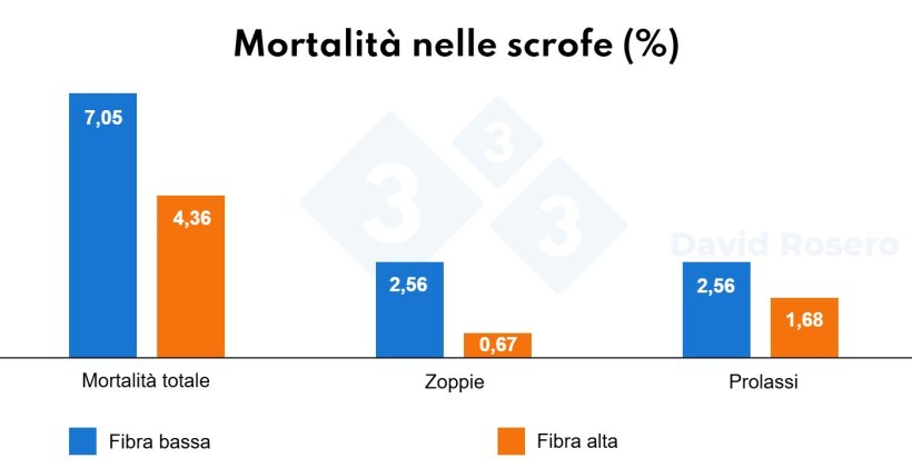 Figura 2. Effetti dell'uso di fibre durante la gestazione sulla sopravvivenza delle scrofe.
