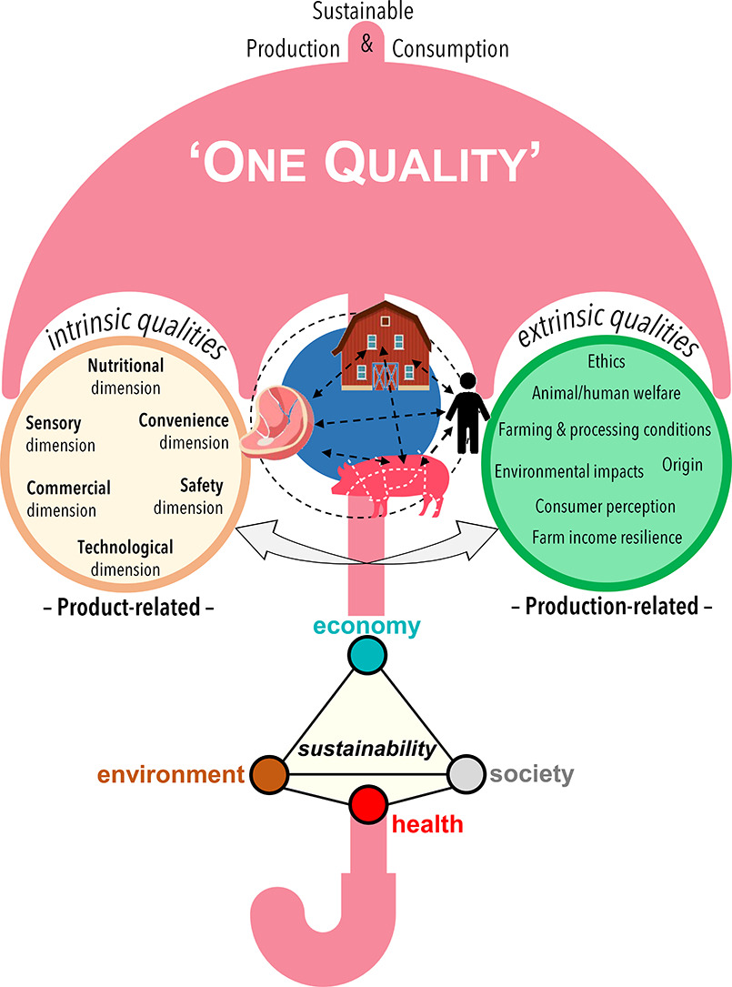 Fig. 2. Il principio fondamentale del concetto "One Quality" mira a integrare sotto un unico ombrello le qualit&agrave; intrinseche ed estrinseche della carne suina nell'ambito dei diversi pilastri della sostenibilit&agrave;, per garantire una carne suina sana, nutriente, equa e rispettosa dell'ambiente, prodotta in modo redditizio. L'approccio supporta una visione unitaria all'interno di un quadro integrato di principi orientati alla sostenibilit&agrave;, orientati al futuro e sensibili alle attuali esigenze dei consumatori e delle politiche.
