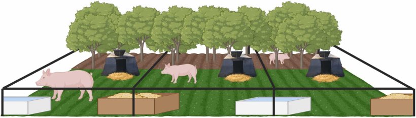 Fig. 1. Schema schematico del progetto dei campi parto. Creato con BioRender.com.