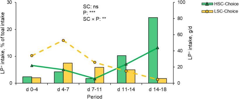 Fig. 1. Assunzione di una dieta ipoproteica arricchita di aminoacidi da parte di suinetti a cui &egrave; stata offerta una scelta dietetica (Choice) in condizioni sanitarie elevate (HSC) e basse (LSC). Nel trattamento Choice, i suinetti potevano scegliere di consumare una dieta ipoproteica con Lys, Met, Thr, Trp, Val, Leu, Ile, His carenti del 20% (LP-) o superiori del 20% (LP+) per il massimo incremento di peso corporeo (CVB, 2020). L'assunzione della dieta LP+ &egrave; mostrata sia come percentuale dell'assunzione totale (somma delle diete LP+ e LP-, linee) sia come valore assoluto (barre). La proporzione di assunzione della dieta LP+ &egrave; stata analizzata con un modello lineare che includeva l'effetto delle condizioni sanitarie (SC), del periodo (P) e dell'interazione SC &times; P. *** quando P < 0,001, ** quando P < 0,05, ns quando P > 0,5.