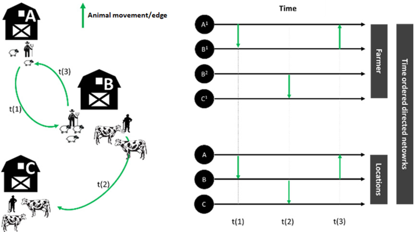 Fig. 1. Frammentazione e aggregazione della rete nei registri di movimentazione degli animali. Il pannello in alto a destra mostra come pi&ugrave; allevatori della stessa azienda siano rappresentati come nodi diversi, il che porta a una frammentazione artificiale. Il pannello in basso a destra illustra il processo di aggregazione, in cui ogni nodo rappresenta l'azienda fisica, che comprende pi&ugrave; proprietari a livello fiscale.
https://doi.org/10.1371/journal.pone.0317313.g001