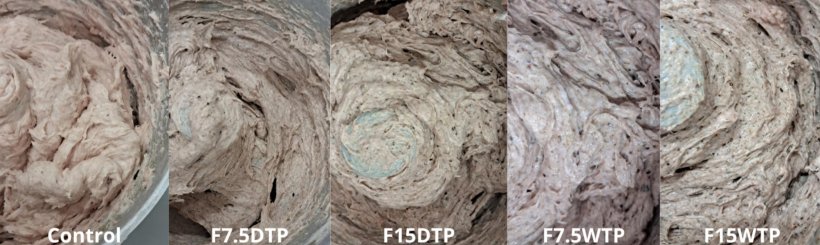 Fig. 1. Aspetto visivo degli impasti di carne cruda di salsicce tipo mortadella di controllo e riformulate con farine Tenebrio (integrali e sgrassate) come parziale sostituzione dei grassi (7,5 e 15%).

CT: controllo; 7,5WTP: sostituzione dei grassi del 7,5% con polvere di T. molitor intera; 15WTP: sostituzione dei grassi del 15% con polvere di T. molitor intera; 7,5DTP: sostituzione dei grassi del 7,5% con polvere di T. molitor precedentemente sgrassata con CO2 supercritica; 15DTP: sostituzione dei grassi del 15% con polvere di T. molitor precedentemente sgrassata con CO2 supercritica. Fonte: https://doi.org/10.1016/j.meatsci.2025.109890