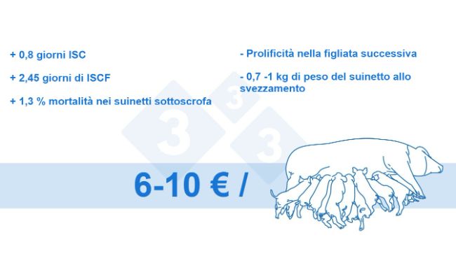 Figura 4. Perdita per scrofa (dati interni)
