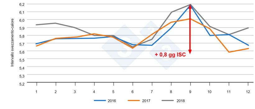 Figura 1. Intervallo svezzamento-calore a seconda del mese dell'anno. Fonte: PigChamp Pro Europa