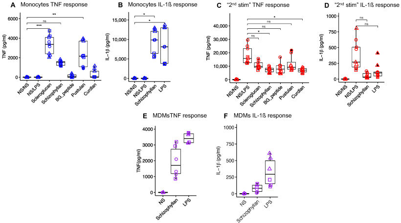 Figura 1. Risposta citochinica di monociti e MDM suini a diversi β-glucani. I monociti suini sono stati trattati con diversi β-glucani (10 μg/mL) o LPS 10 ng/mL per 24 ore. Gli stimoli sono stati rimossi e le cellule sono state lasciate a riposo per 6 giorni, seguiti da una seconda stimolazione con LPS (1 μg/mL) per 24 ore. I livelli di citochine sono stati misurati dopo il trattamento (A, B) e la restimolazione (C, D). NS/NS rappresenta le cellule che non hanno ricevuto né la prima né la seconda stimolazione. NS/LPS rappresenta le cellule che non hanno ricevuto la prima stimolazione ma hanno ricevuto la seconda stimolazione con LPS. (E, F) rappresentano la risposta citochinica di MDM suini alla stimolazione con schizophyllan e LPS per 24 ore. NS rappresenta gli MDM che hanno ricevuto solo il terreno di coltura. Ogni forma rappresenta una replica biologica. Il confronto tra i gruppi è stato effettuato utilizzando l'ANOVA unidirezionale (ns, non significativo; * p < 0,05; ** p < 0,01; *** p < 0,001).
Fonte: Vaccines 2024, 12, 982. https://doi.org/10.3390/vaccines12090982