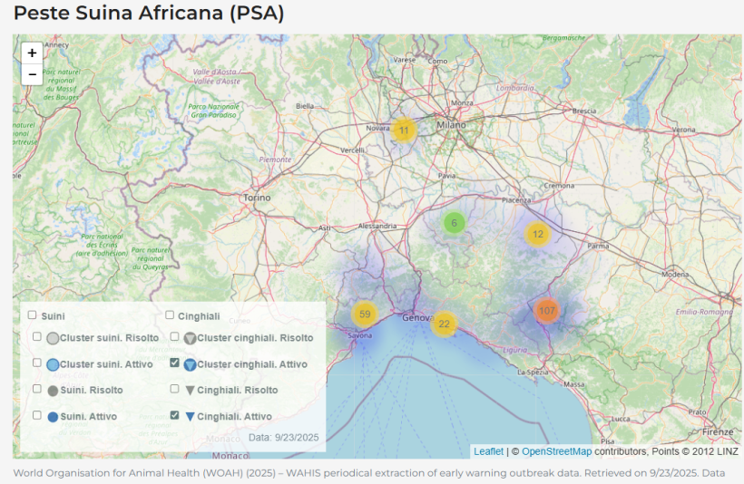 Cinghiali cluster attivi