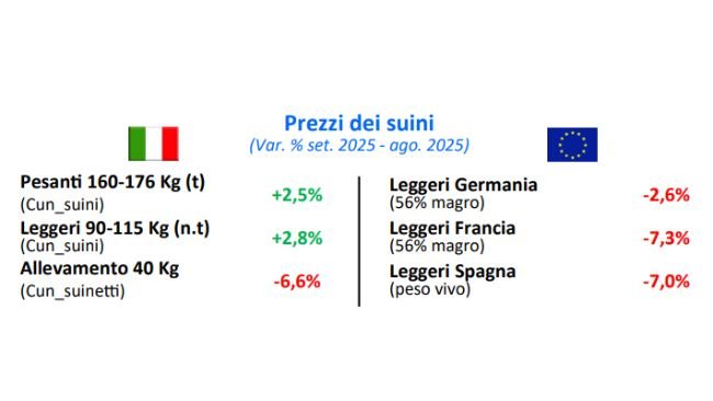 Crefis. Fonte: www.crefis.it