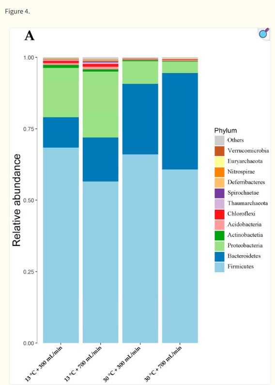 mostra i dodici principali phylum batterici nel contenuto del cieco. Firmicutes costituiva il filotipo più diffuso, comprendendo oltre il 57,0% della popolazione microbica del cieco, seguito da Proteobacteria, Actinobacteria, Acidobacteria, Chloroflexi, Thaumarchaeota, Spirochaetae, Deferribacteres, Nitrospirae, Euryarchaeota e Verrucomicrobia. La DWT a 30 °C ha aumentato l'abbondanza relativa di Bacteroidetes e diminuito l'abbondanza relativa di Proteobacteria, Actinobacteria, Acidobacteria, Chloroflexi e Thaumarchaeota (p < 0,05). La DWF non ha avuto un effetto sostanziale sull'abbondanza relativa dei microbi. Non c'è stata alcuna interazione significativa tra DWT e DWF sul filotipo microbico (p > 0,05).Animals (Basel). 2020 Jun 18;10(6):1048. doi: 10.3390/ani10061048