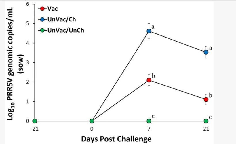 Valori medi del numero di copie genomiche di RNA del PRRSV-2 nel siero delle scrofe. La variazione &egrave; espressa come deviazione standard. I diversi apici (a, b e c) indicano una differenza significativa (p