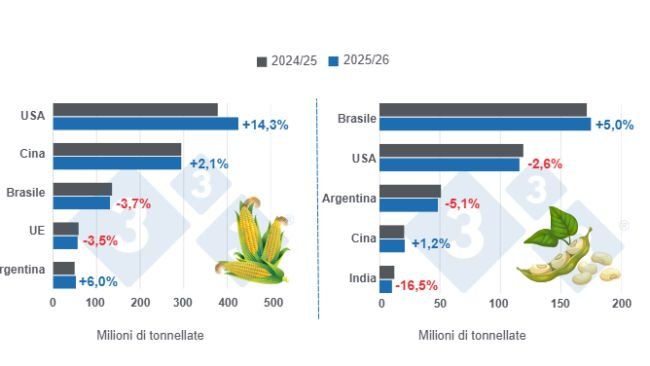 Grafico 1: Proiezione del raccolto per i principali produttori mondiali di mais e soia - stagione 2025/26 rispetto al ciclo 2024/25 - ultimo aggiornamento: 10 febbraio 2026.
Elaborado por el Departamento de Economía y Sostenibilidad de 333 Latinoamérica con datos de FAS - USDA