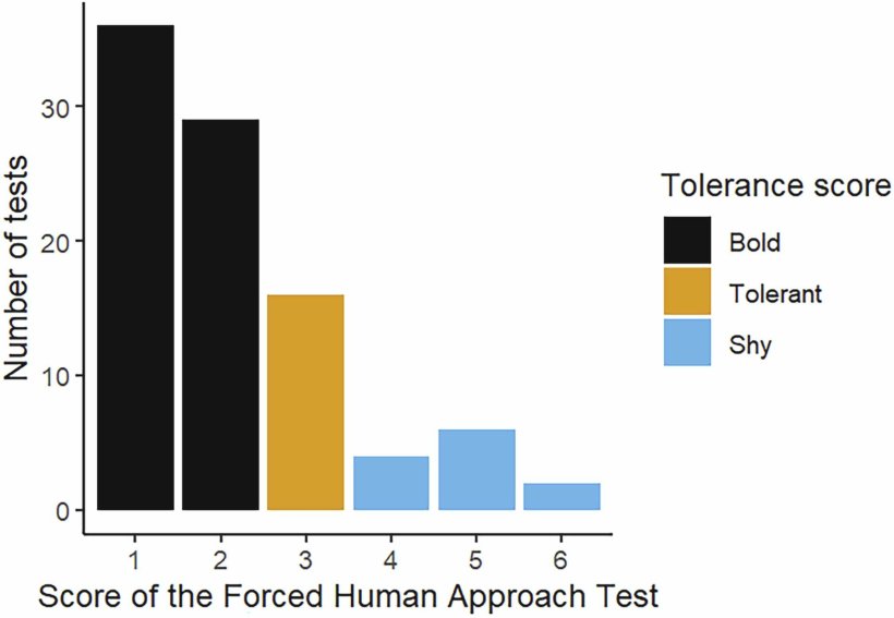 Fig. 2. Distribuzione del numero di test per ciascuno dei sei punteggi non raggruppati del Forced Human Approach Test (Tabella 1). In diversi colori, i punteggi di tolleranza raggruppati utilizzati per l'analisi statistica.https://doi.org/10.1016/j.applanim.2026.106932.
