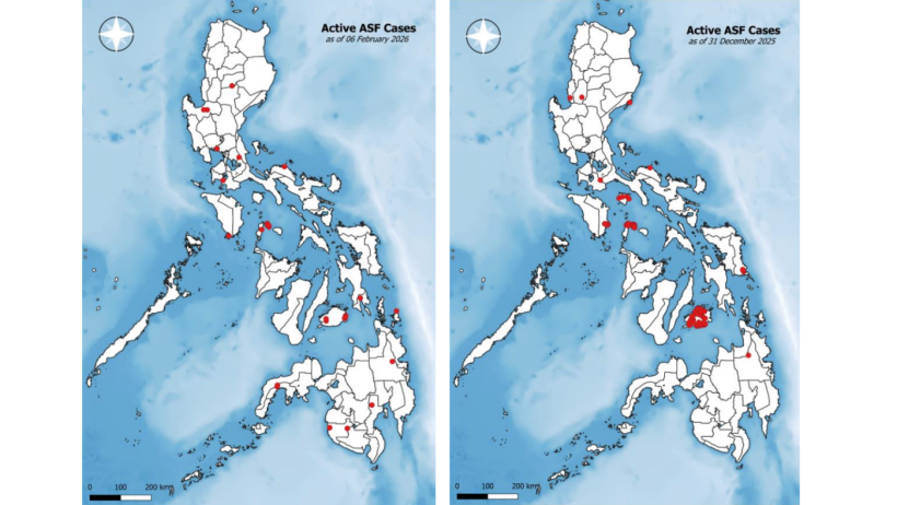 Active African swine fever cases in the Philippines as of February 6, 2026 (left) compared to December 31, 2025 (right). Source: BAI.
