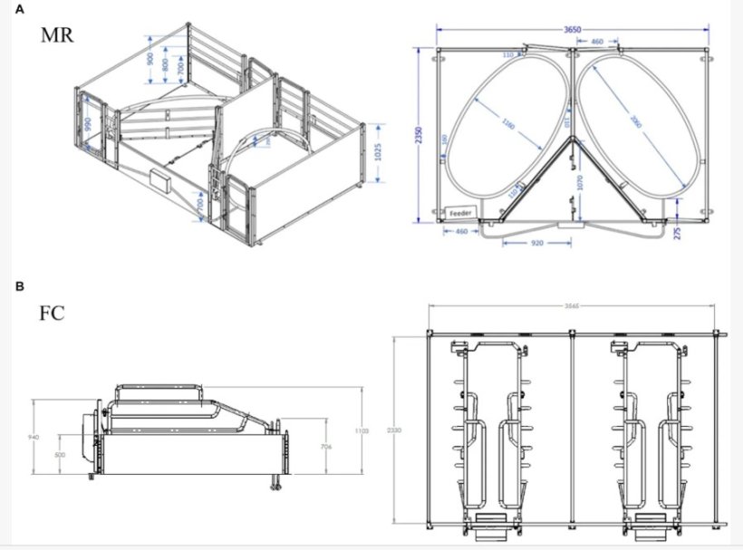 Dimensioni delle caratteristiche principali del design dell'anello di maternit&agrave; (MR) (A) e della gabbia da parto (FC) (B).Front. Vet. Sci. 11:1339947. doi: 10.3389/fvets.2024.1339947
