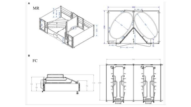 Dimensioni delle caratteristiche principali del design dell'anello di maternità (MR) (A) e della gabbia da parto (FC) (B).Front. Vet. Sci. 11:1339947. doi: 10.3389/fvets.2024.1339947