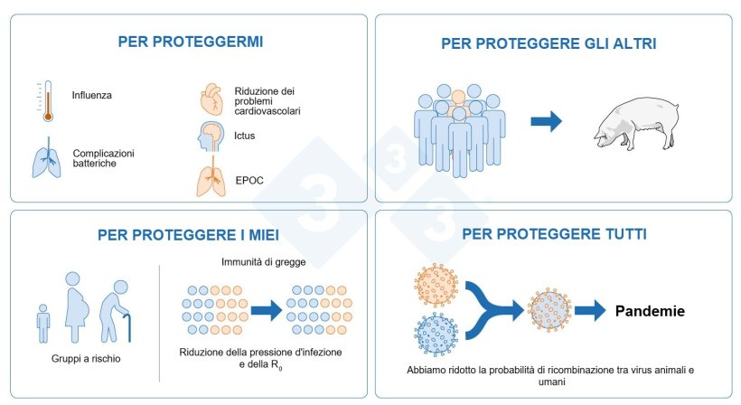 Figura 4. Perché dovremmo vaccinarci contro l'influenza?