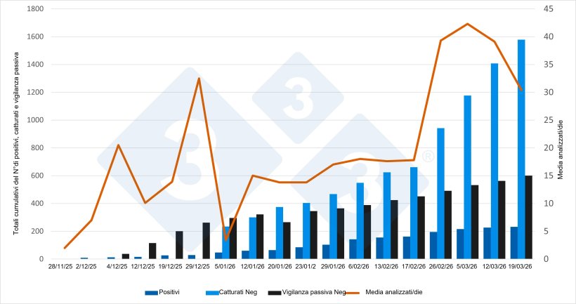 Evoluzione dell'epidemia di peste suina africana (PSA) in Catalogna. Grafico elaborato a partire dagli aggiornamenti diffusi dal Ministero dell'Agricoltura, della Pesca e dell'Alimentazione (MAPA).
