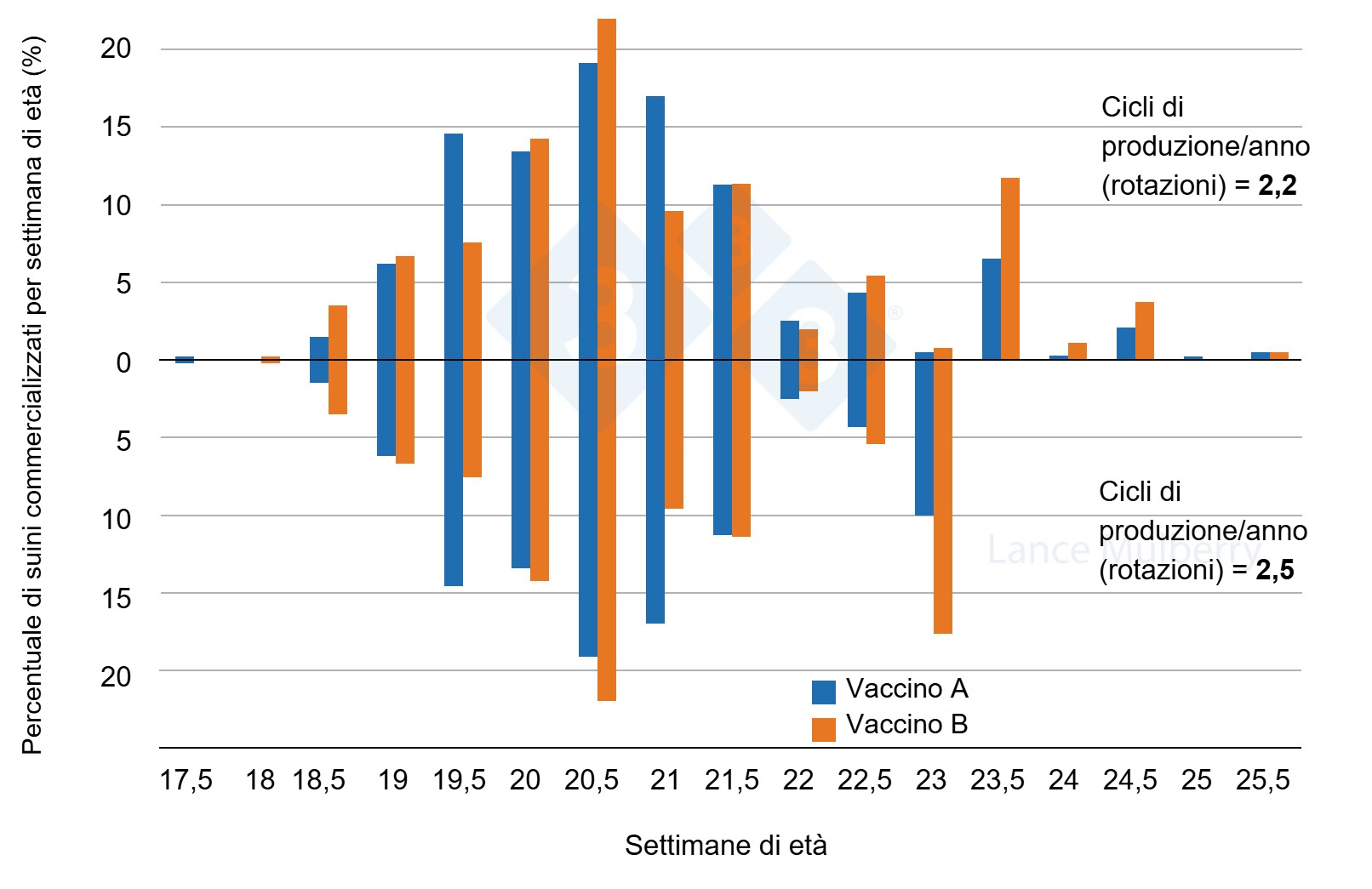 Due allevamenti, ma uno con minore variabilit&agrave; nei tassi di crescita, il che significa che vi sono meno suini a crescita lenta a causa delle differenze nel programma di vaccinazione.