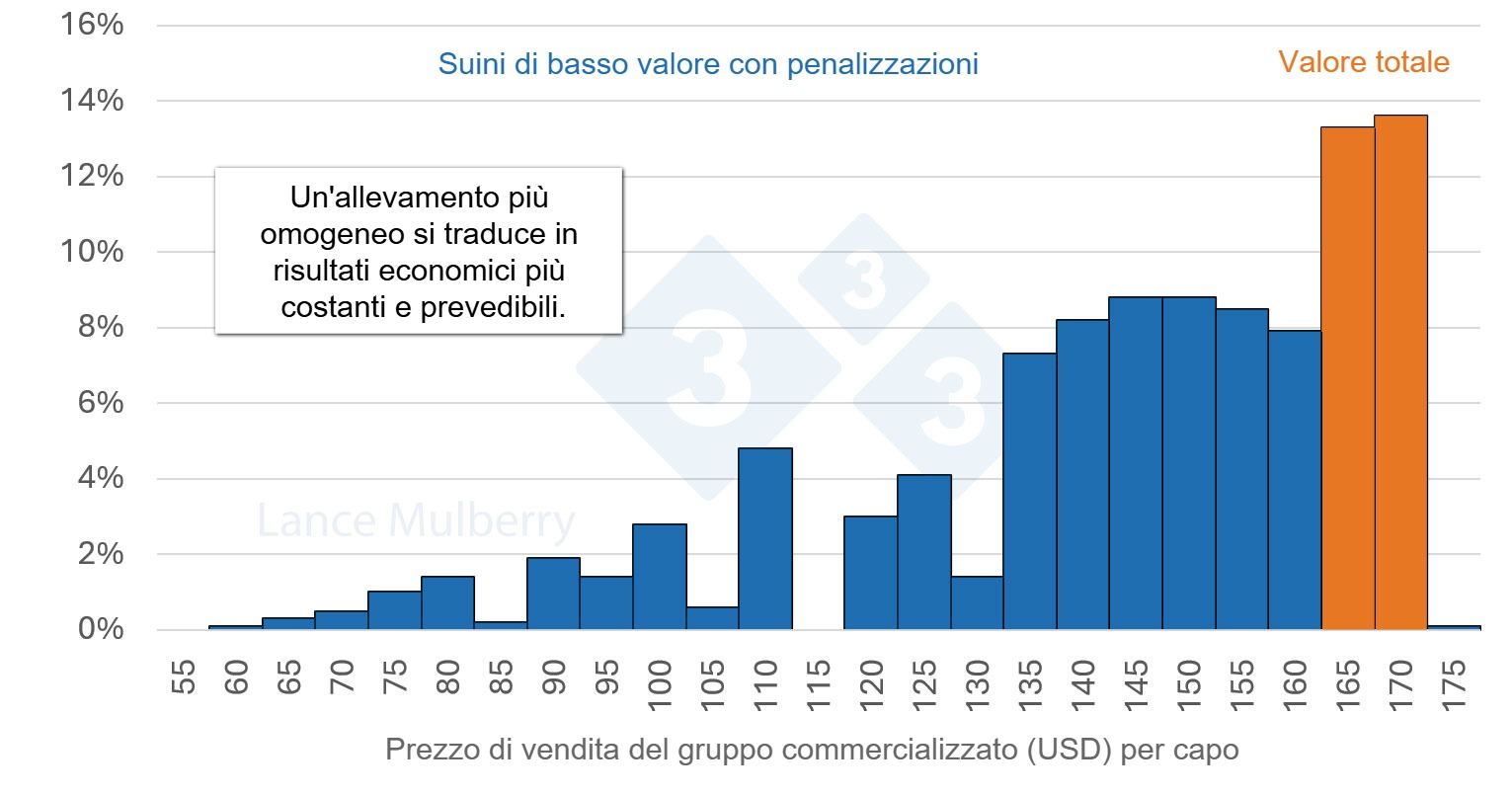 Ridurre il numero di suini a crescita lenta non solo diminuisce le potenziali sanzioni, ma anche i costi associati.