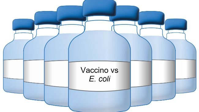 Vaccino contro l'E. coli.
