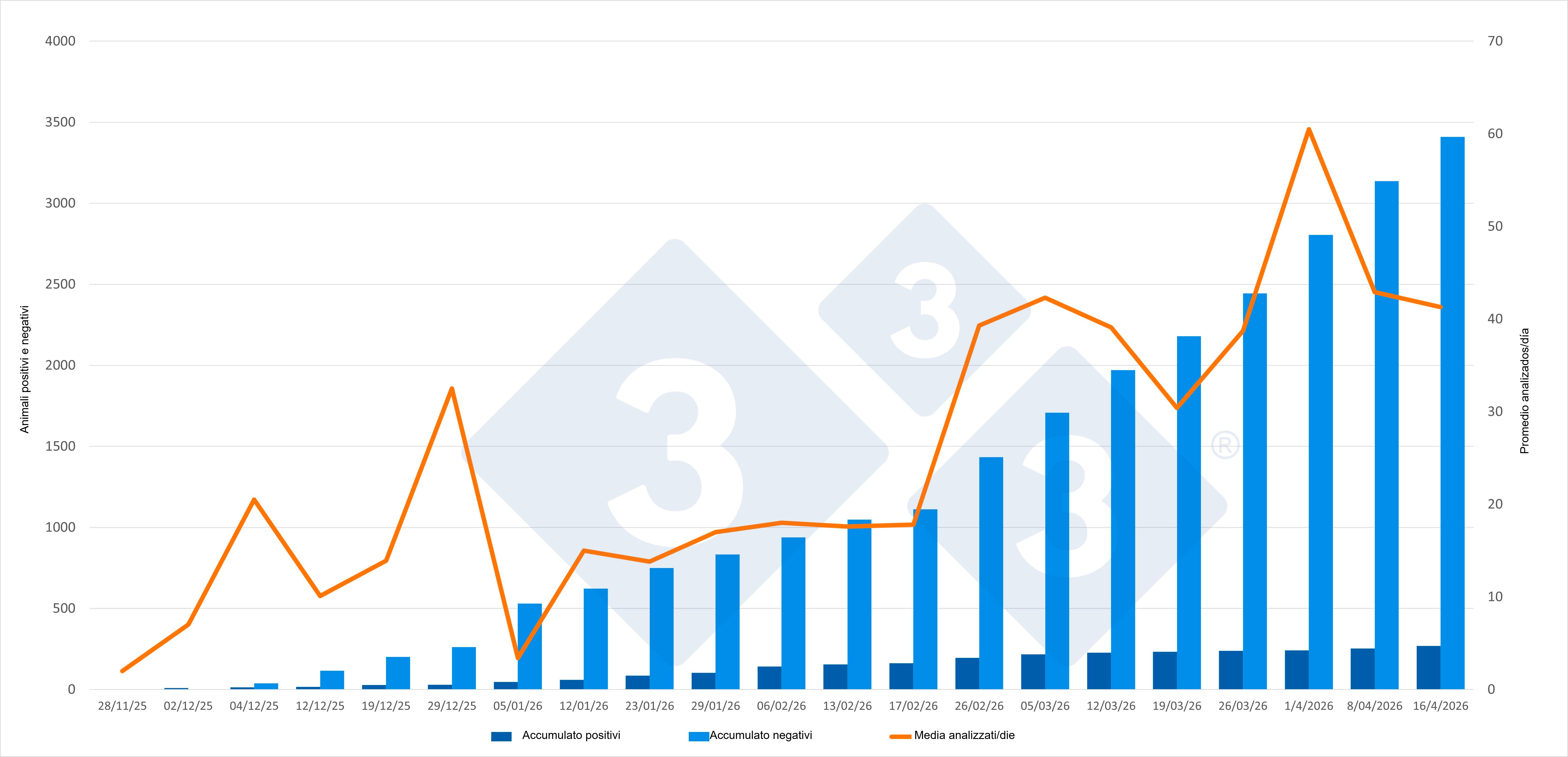 Evoluzione dell\epidemia di PSA in Catalogna, dati cumulativi ad eccezione del numero medio di animali testati al giorno. Fonte: 333 sulla base degli aggiornamenti pubblicati da MAPA