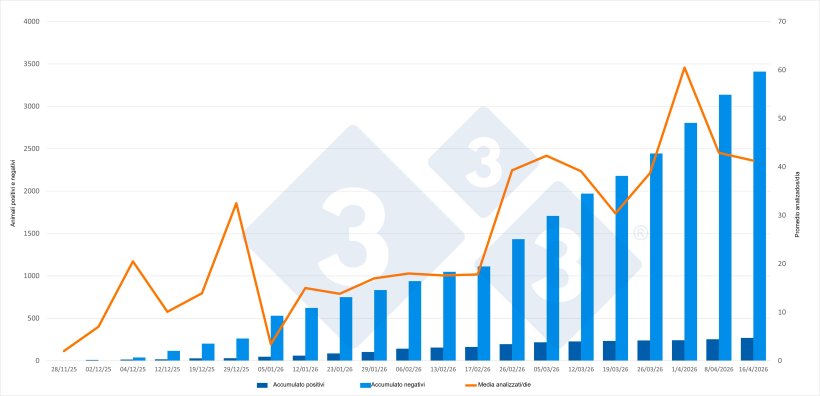 Evoluzione dell'epidemia di peste suina africana (PSA) in Catalogna, dati cumulativi ad eccezione del numero medio di animali testati al giorno. Fonte: 333 sulla base degli aggiornamenti pubblicati dal Ministero dell'Agricoltura, della Pesca e dell'Alimentazione (MAPA).
