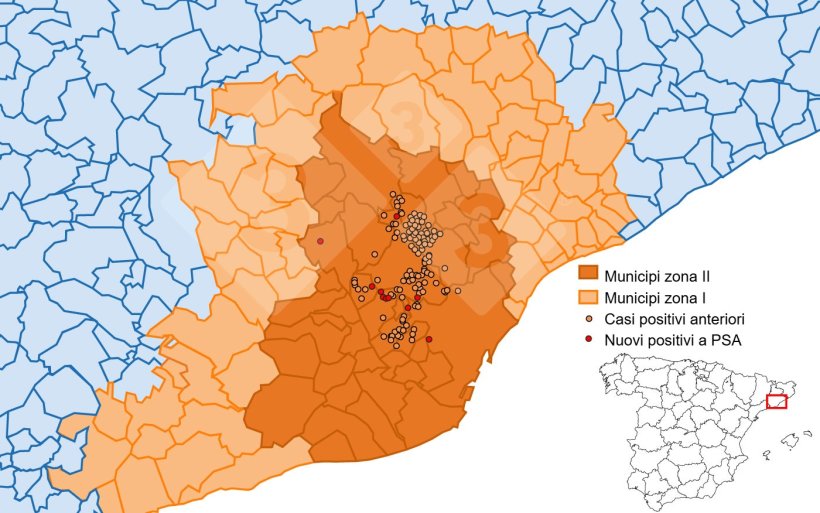 Localizzazione dettagliata dei casi di cinghiale rilevati nella zona ristretta II. Fonte: 333 sulla base dei dati di MAPA e SVO.
