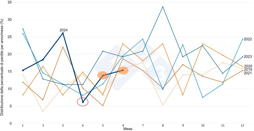 Grafico 6. Distribuzione ponderata della mortalità per mese e anno.