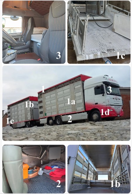 Rappresentazione schematica delle tre sezioni del protocollo C&D: [1] unit&agrave; di trasporto, inclusi [1a] l'esterno e [1b] l'interno del vano di carico del bestiame, [1c] la rampa di carico e [1d] il trattore; [2] vano bagagli; e [3] cabina di guida.doi: 10.3389/fvets.2026.1789484