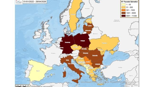 Mappa IZSVE - PSA