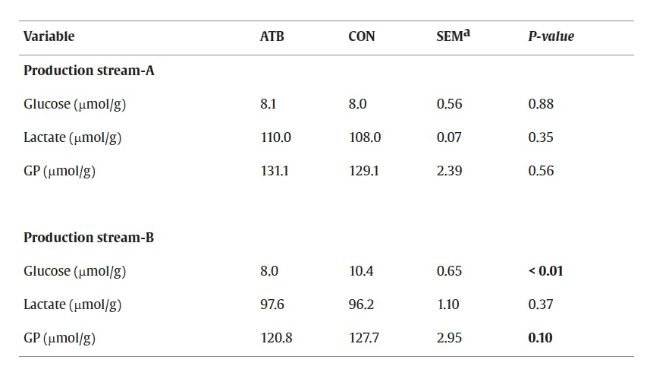 Livelli di glucosio, lattato e potenziale glicolitico (GP) del muscolo longissimus lumborum (LL) di suini provenienti dai flussi di produzione A e B trattati con antibiotici (ATB) o non trattati (CON) allo svezzamento. Fonte:https://doi.org/10.1016/j.meatsci.2026.110142.