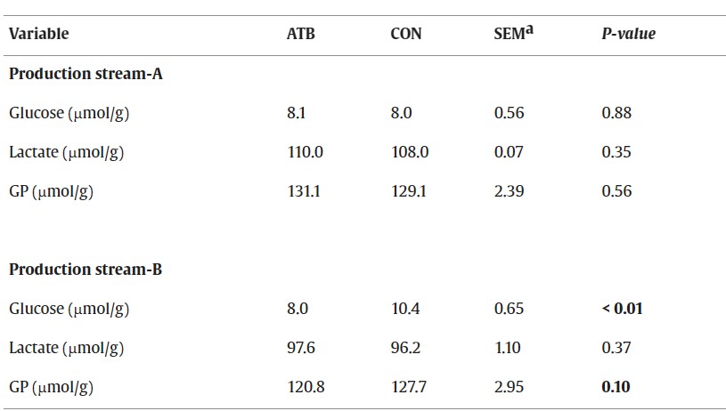Livelli di glucosio, lattato e potenziale glicolitico (GP) del muscolo longissimus lumborum (LL) di suini provenienti dai flussi di produzione A e B trattati con antibiotici (ATB) o non trattati (CON) allo svezzamento. Fonte:https://doi.org/10.1016/j.meatsci.2026.110142.
