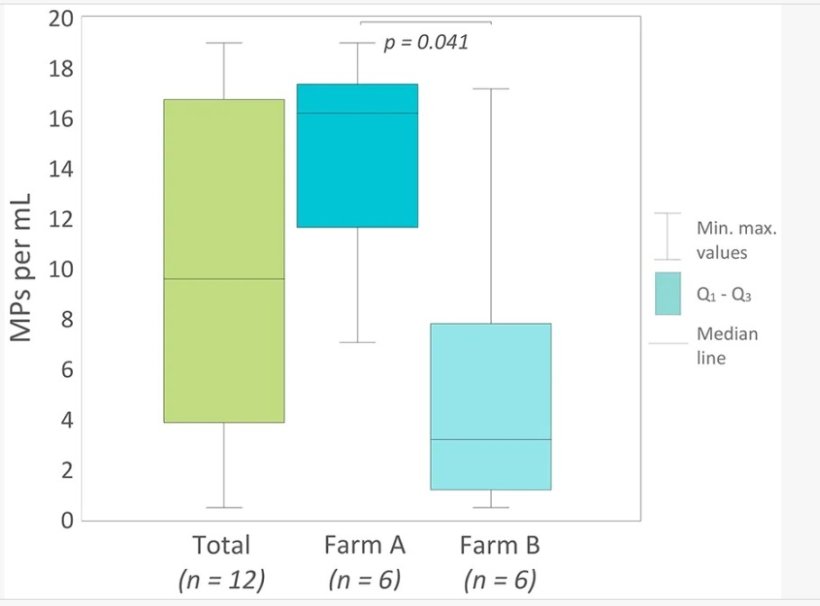 Distribuzione delle concentrazioni totali di microplastiche (MP) nel seme di verro non diluito e confronto tra l'allevamento A e l'allevamento B. I boxplot mostrano la mediana (linea centrale) e l'intervallo interquartile (Q1, Q3), con i baffi che rappresentano i valori minimi e massimi (MP/ml). È stata identificata una differenza statisticamente significativa nelle concentrazioni di MP tra l'allevamento A e l'allevamento B (test U di Mann-Whitney, p = 0,041). Front. Vet. Sci. 13:1847076. doi: 10.3389/fvets.2026.1847076
