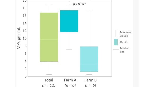 Distribuzione delle concentrazioni totali di microplastiche (MP) nel seme di verro non diluito e confronto tra l'allevamento A e l'allevamento B. I boxplot mostrano la mediana (linea centrale) e l'intervallo interquartile (Q1, Q3), con i baffi che rappresentano i valori minimi e massimi (MP/ml). È stata identificata una differenza statisticamente significativa nelle concentrazioni di MP tra l'allevamento A e l'allevamento B (test U di Mann-Whitney, p = 0,041). Front. Vet. Sci. 13:1847076. doi: 10.3389/fvets.2026.1847076