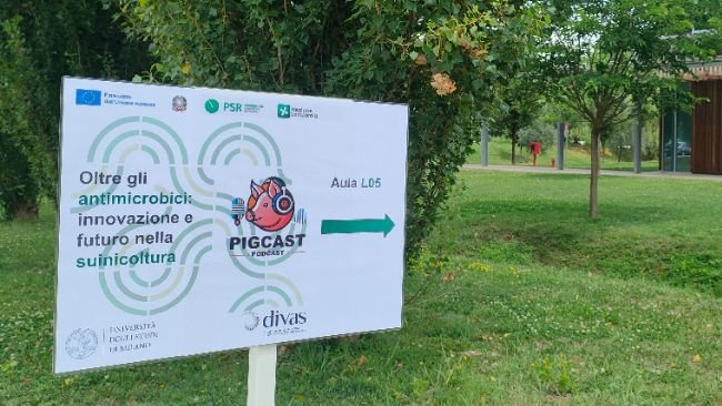 pigcast 46