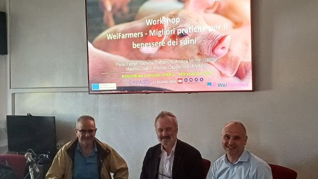welfarmers 2