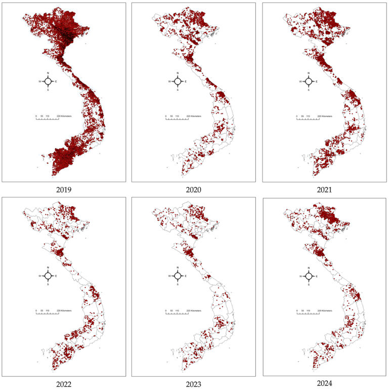 Mappe che mostrano la distribuzione dei focolai di peste suina africana (PSA) in Vietnam tra il 2019 e il 2024. I punti rossi rappresentano i focolai di PSA a livello di comune. Chuong, V et al, 2025