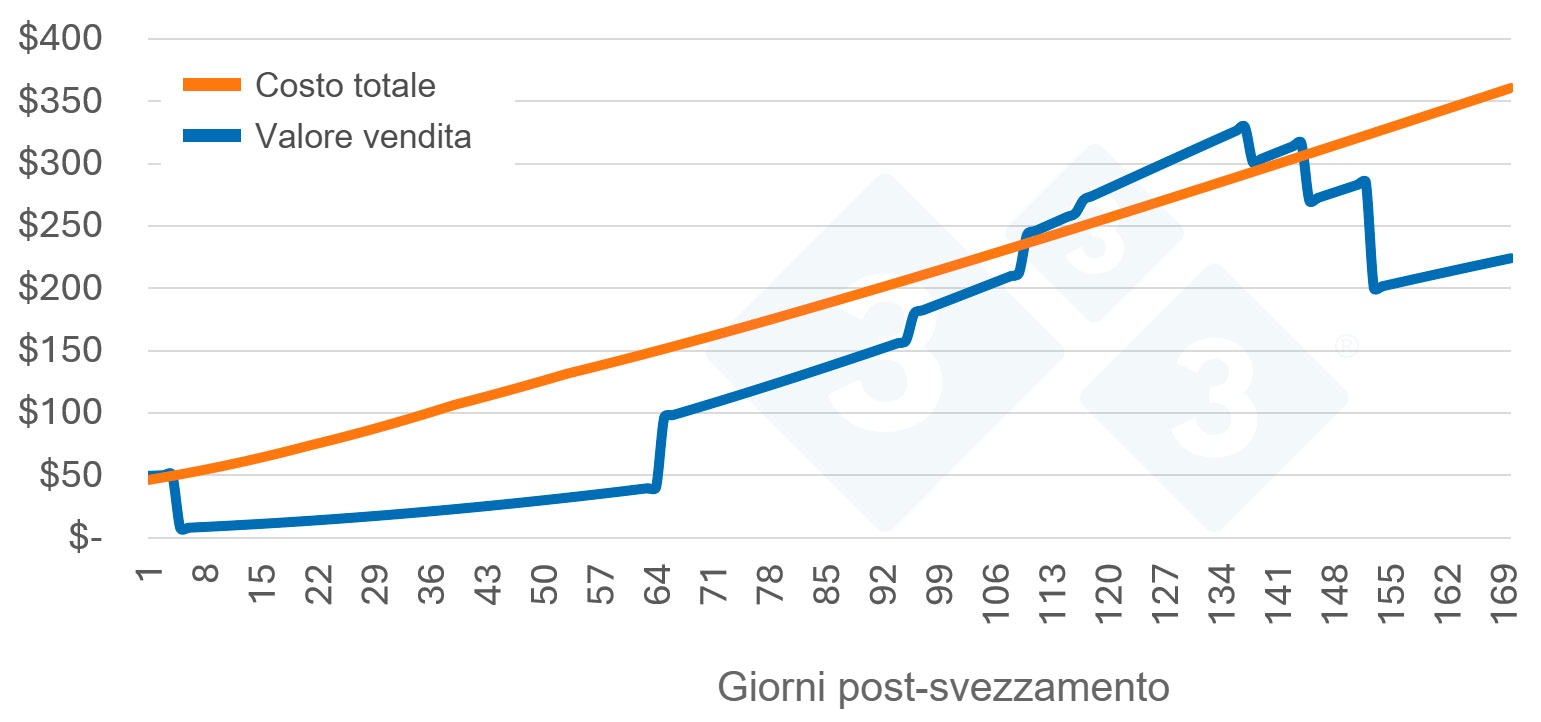 Sovrapporre la curva del valore del suino.