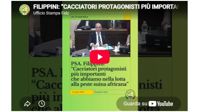 Fillippini in Commissione Agricoltura