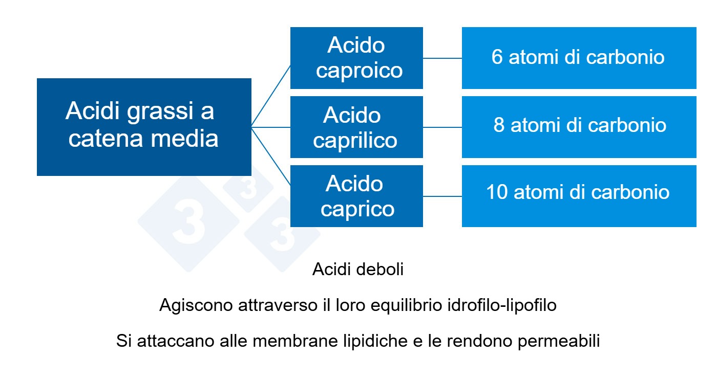 Acidi organici a catena media