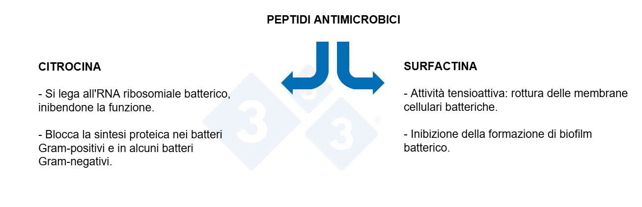 Proprietà dei peptidi antimicrobici