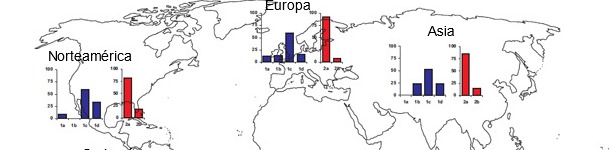 Prevalenze geografiche di differenti ceppi di TTSuV

