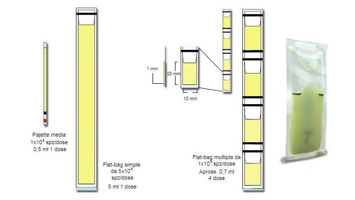 Rappresentazione schematica delle principali differenze tra le mini-paiette in plastica &nbsp;da 0,25 ml, con Flat-bags semplici (5 ml) e multiple &nbsp;(da 0,5-0,7 ml)
