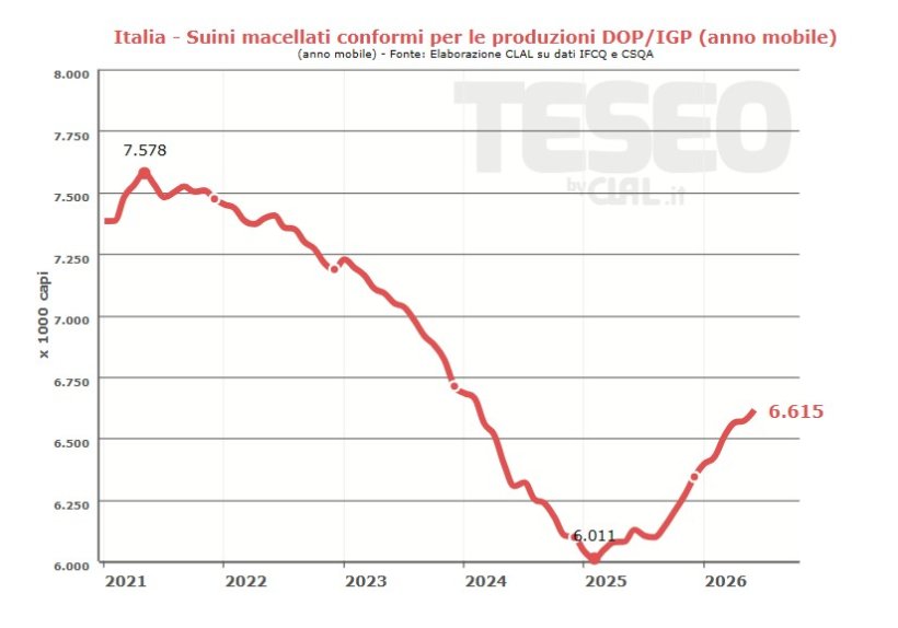Fonti: Elaborazione CLAL su dati IFCQ, CSQA ed Eurostat.
