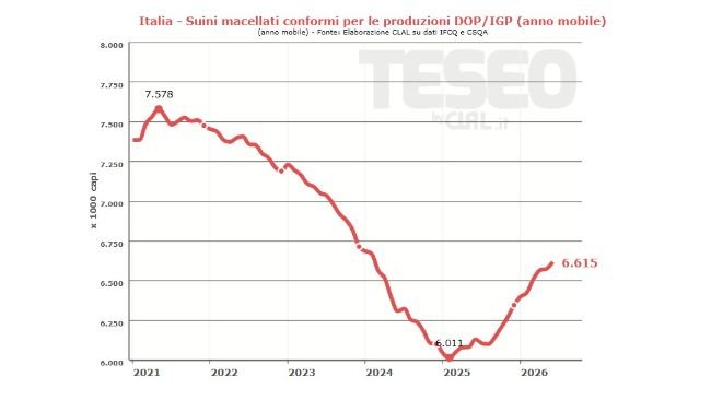 Fonti: Elaborazione CLAL su dati IFCQ, CSQA ed Eurostat.